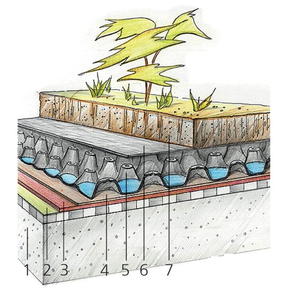 технология озеленения крыш